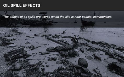 Oil Spill Effects - Ocean Pollution - Marine Life - Impact Law