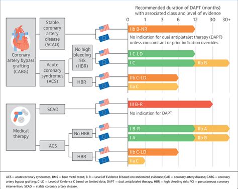 PDF ACC AHA Versus ESC Guidelines On Dual Antiplatelet Therapy JACC