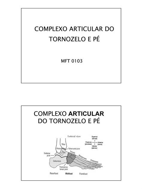 PDF Biomecanica Do Tornozelo E Pe DOKUMEN TIPS