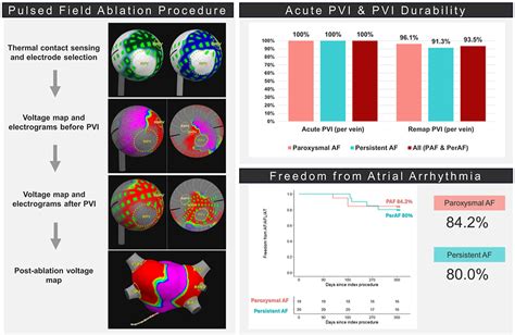 AF Ablation Using A Novel Single Shot Map And Ablate Spherical Array