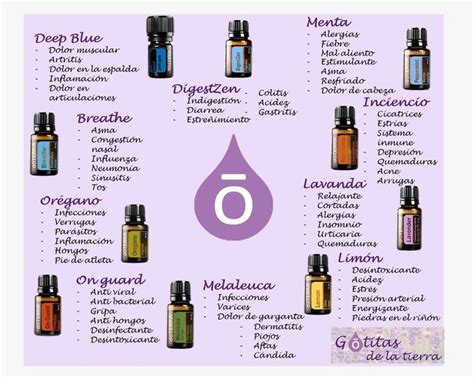 Pin En Aceites Esenciales Para Dormir Aceites Esenciales Doterra