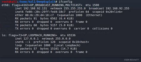 【deepexploit】基于metasploit的自动渗透工具在kali中详细运行教程 Csdn博客