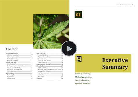 Cannabis Cultivation Business Plan Template