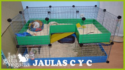 Como Hacer Una Jaula C Y C Para Cobayas Conejos Chinchillas Cuyos