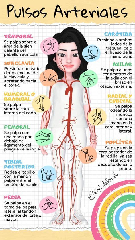 Pin By Condutoraph On Semi Tica Semiologia In Medicine Student