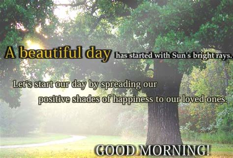 Spread Positive Rays Of Happiness Free Good Morning Ecards 123 Greetings