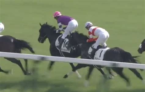 川田将雅の変化 競馬予想。