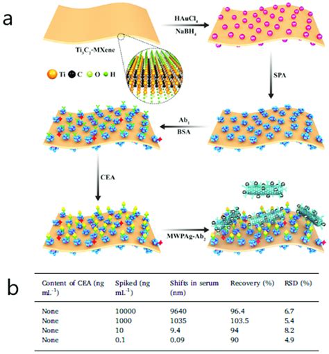 A Schematic Representation Showing The Detection Procedure Of The Spr Download Scientific