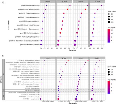 Kegg Pathway Enrichment And Go Functional Classification Of