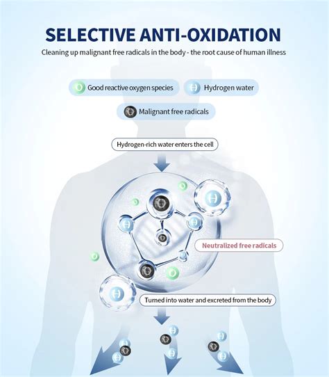 Suyzeko Japanese Molecular Hydrogen Inhalation Therapy New Technical