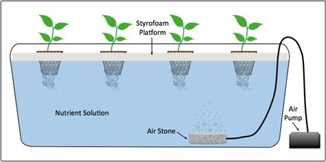 How to build your own easy hydroponic system: a beginners guide ...