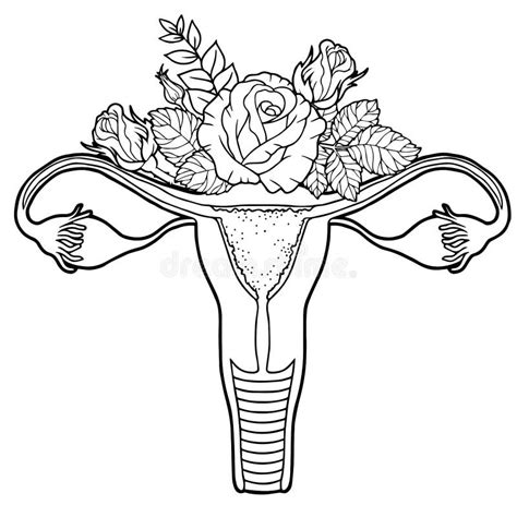 Female Reproductive System With Flowers Feminism Concept Beautiful