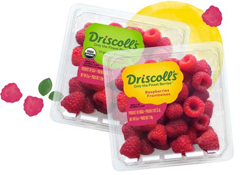 Brand New New Logo And Packaging For Driscoll S By Pearlfisher