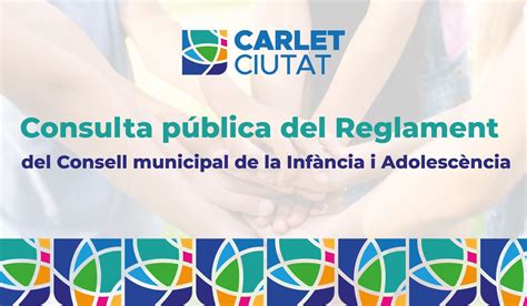 Aprobaci N Provisional Del Reglamento Del Consejo Local De Infancia Y