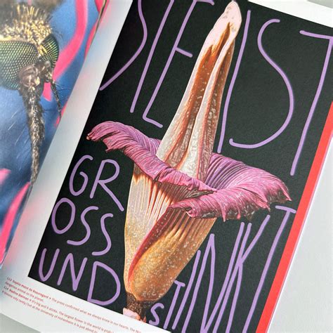 100 Poster Battle 2 — Sharing Cultural Identities – Draw Down