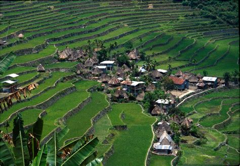 Go Philippines: Rice Terraces of the Philippine Cordilleras