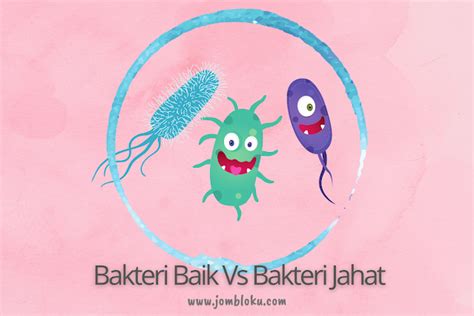 Apa Itu Bakteri Baik Dan Bakteri Jahat Inuels Personal Blog