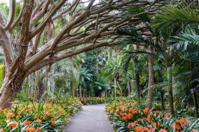 Things To See And Do At The Royal Botanical Gardens Sydney - Seeing Sydney