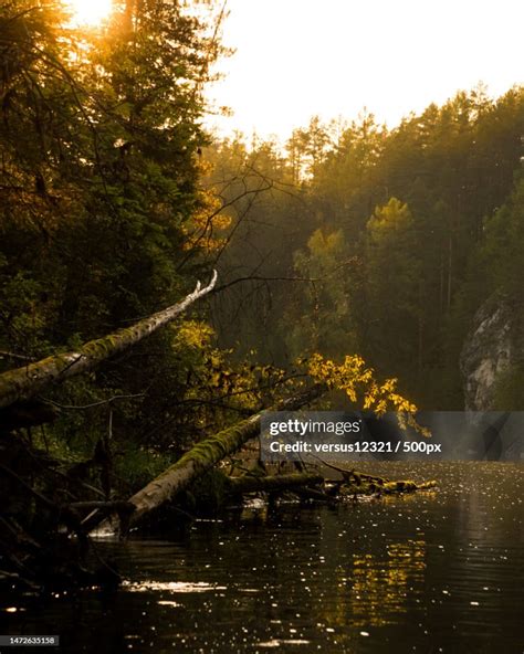 Scenic View Of Lake In Forest Against Sky During Sunsetrussia High Res