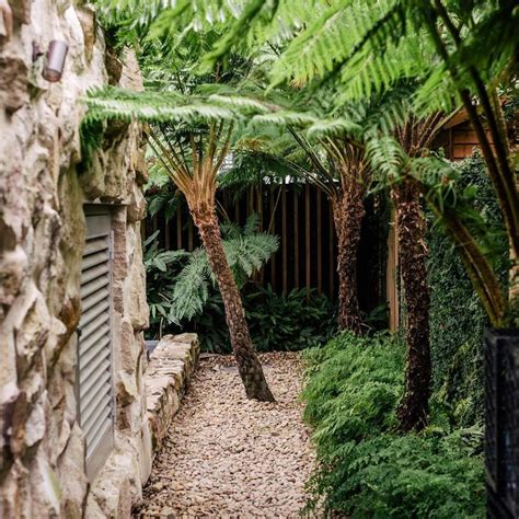 A Stone Path Between Two Trees In A Tropical Garden With Rocks And