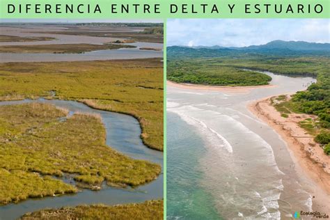 Diferencia Entre Delta Y Estuario Resumen