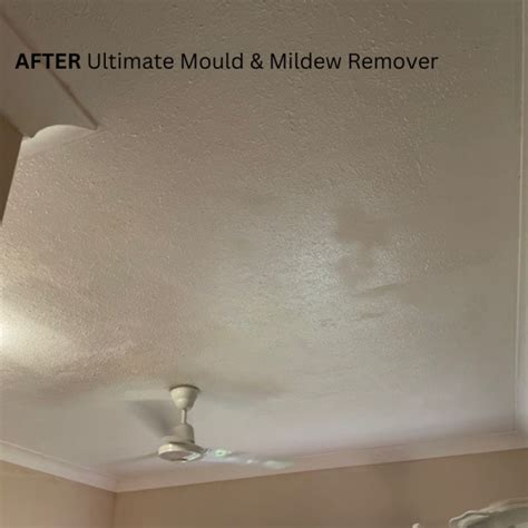 Ultimate Mould Mildew Remover Ultimate Cleaning Products