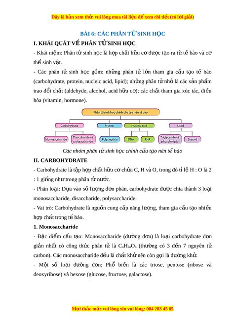 Lý Thuyết Sinh Học 10 Cánh Diều Bài 6 Các Phân Tử Sinh Học Docx