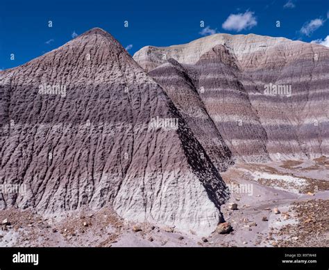 Blue Mesa Badlands From The Blue Forest Loop Trail Petrified Forest