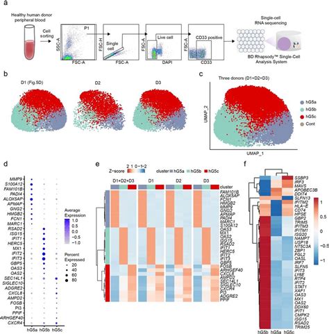 Single Cell RNA Seq Analysis Of Human Peripheral Blood Neutrophils A