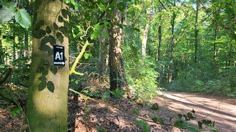 Wanderweg Im Wiehengebirge A L Bbecke Wanderung Outdooractive