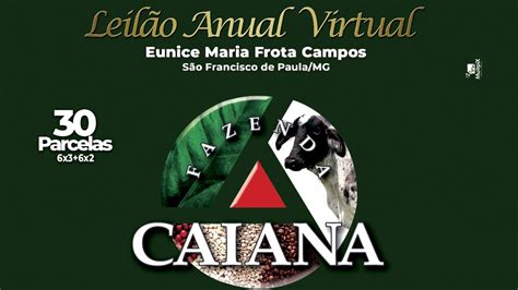 Remate Web Leilão Anual Virtual Fazenda Caiana