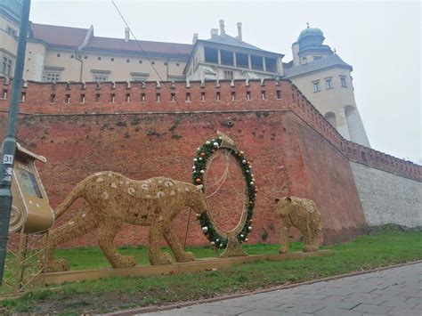 Boże Narodzenie 2023 Świąteczne iluminacje w Krakowie Kiedy się