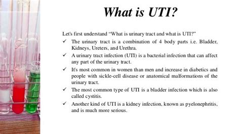 UTI 101- What is UTI, Causes, Symptoms, Prevention and Homeopathic Re…