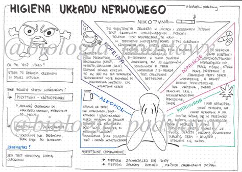 Klasa 7 Higiena układu nerwowego sketchnotka Złoty nauczyciel