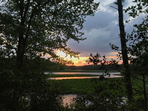 Chickahominy Wma Camping The Dyrt