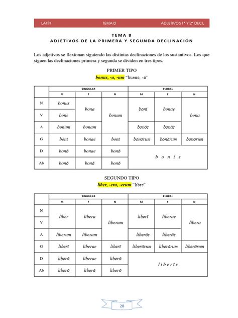 Latín Tema 8 Adjetivos Primera Y Segunda Declinación Pdf