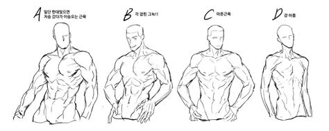 Maleanatomy에 있는 Denzodro님의 핀 드로잉 강좌 그리기 튜토리얼 피규어 드로잉