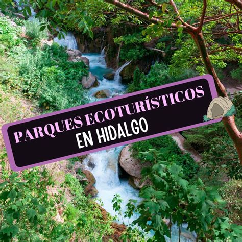 Parques Ecotur Sticos En Hidalgo Que Tienes Que Conocer