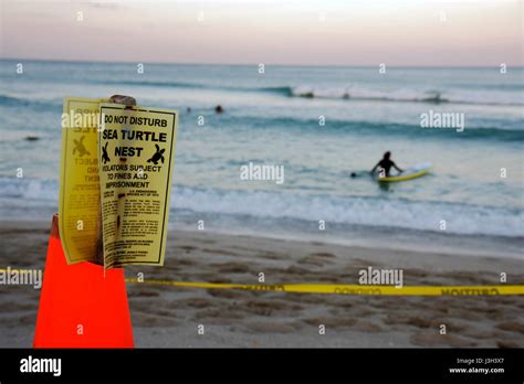 Turtle Nesting Warning Sign Hi Res Stock Photography And Images Alamy