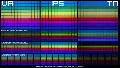 TN vs IPS vs VA: Which is the Best Monitor Display for Gaming?