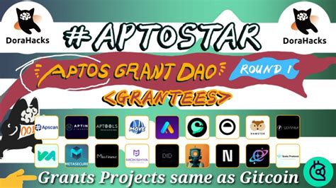 Grants On Aptos Projects How To Vote On Cetus Aptin DoraHacks