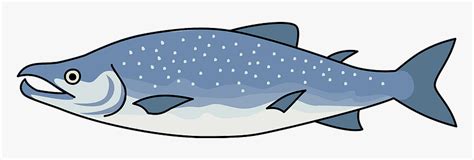 Salmon Fish Clipart, HD Png Download - kindpng