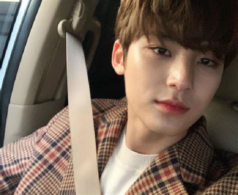 Profil Dan Biodata Mingyu Seventeen Karier Akun Ig Dan Karya Yang