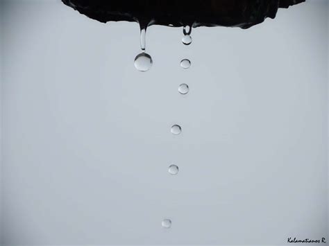 drops, rain drops 4k wallpaper - Coolwallpapers.me!