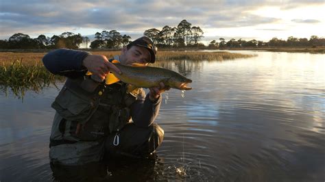 Tasmanian Flies And Patterns For Trout Fishing Trout Tales Tasmania