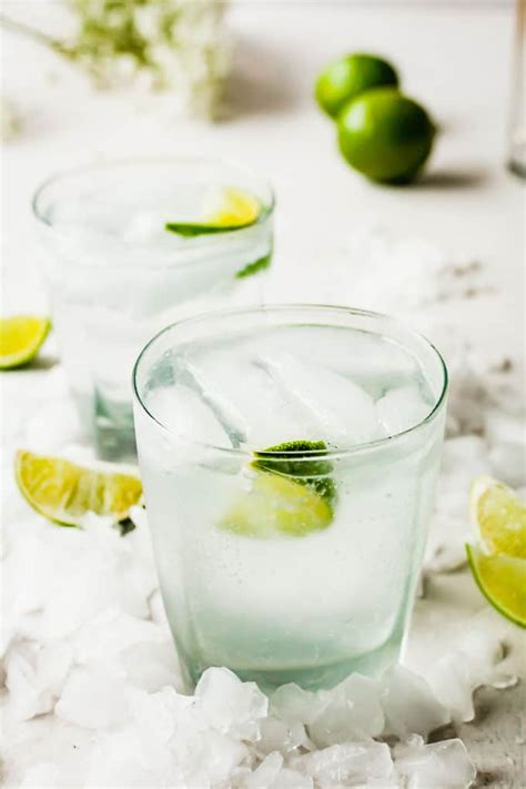 Gin and Tonic Recipe - The Live-In Kitchen