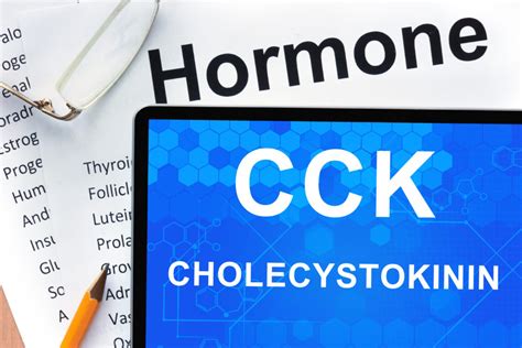 CCK, Another Hormone That Affects Weight CCK • LA Longevity