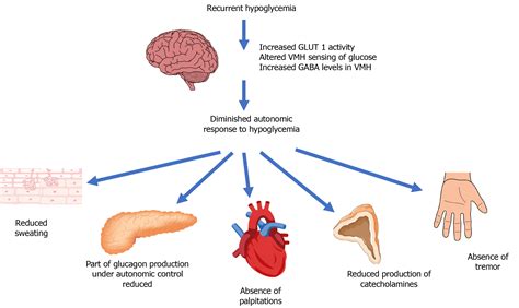 What Is Hypoglycemia Medicine For World