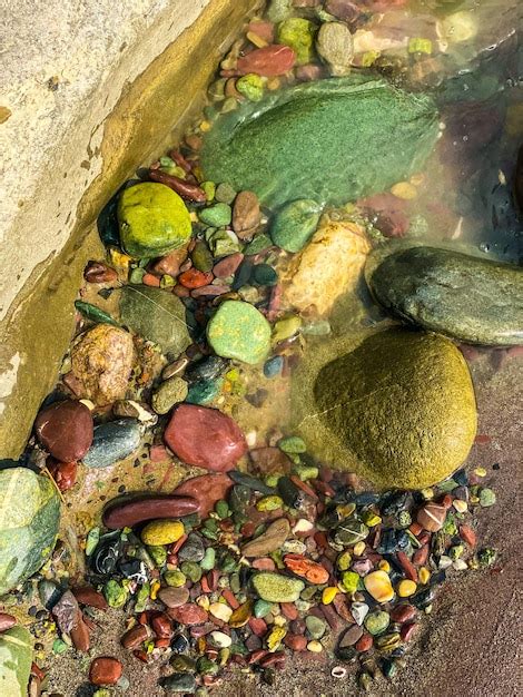 Um Close Up De Rochas Em Uma Piscina Uma Folha Verde No Fundo