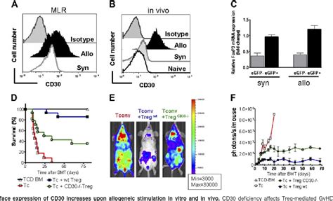 Figure From Early Cd Signaling Is Critical For Adoptively